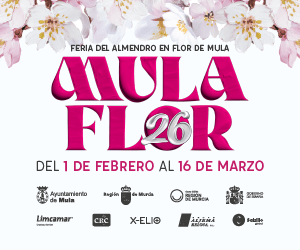Web del Almendro en Flor de Mula